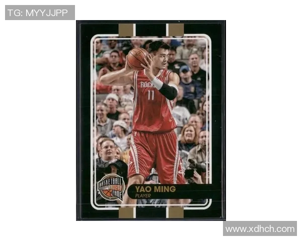 名嘴畅谈姚明的篮球传奇与人生智慧如何影响中国体育发展