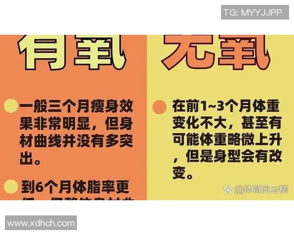 全面解析燃脂宝典中的无氧运动项目助你轻松塑造完美身材