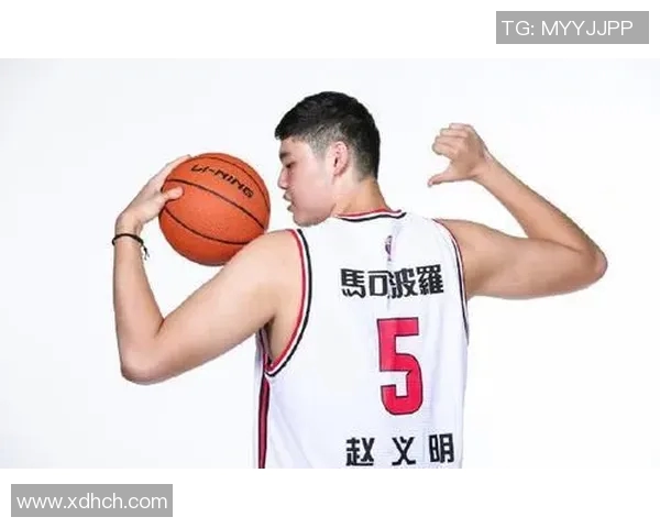 易县篮球明星盘点及其在篮球界的影响力与成就分析