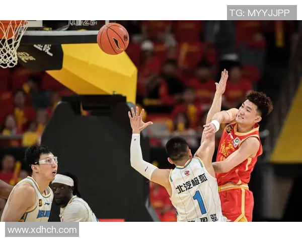 明星篮球群英会聚焦球场魅力与热血拼搏的精彩瞬间